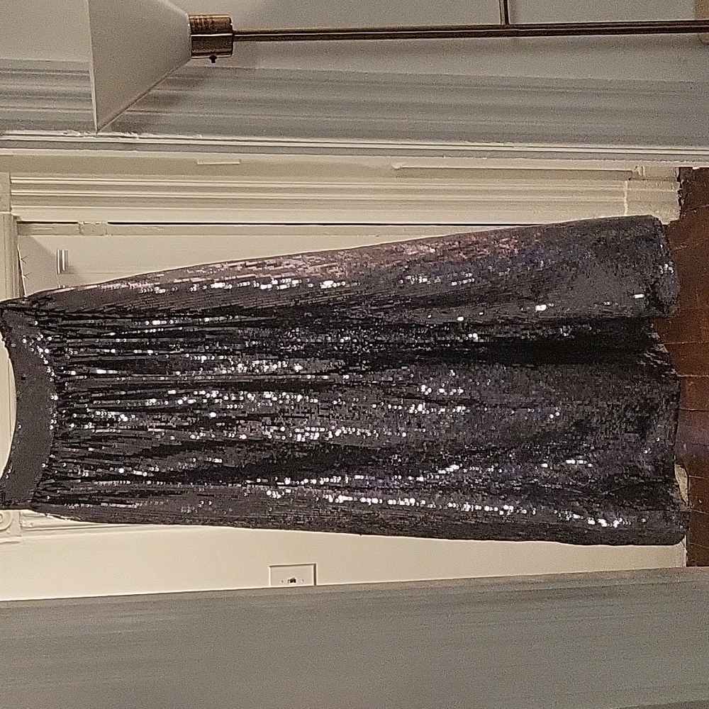 NWOT Alice + Olivia One of a Kind Floor Length Silver Sequin Skirt
